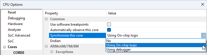 Sync-core-option-new